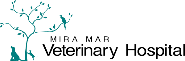 Mira Mar Veterinary Hospital
