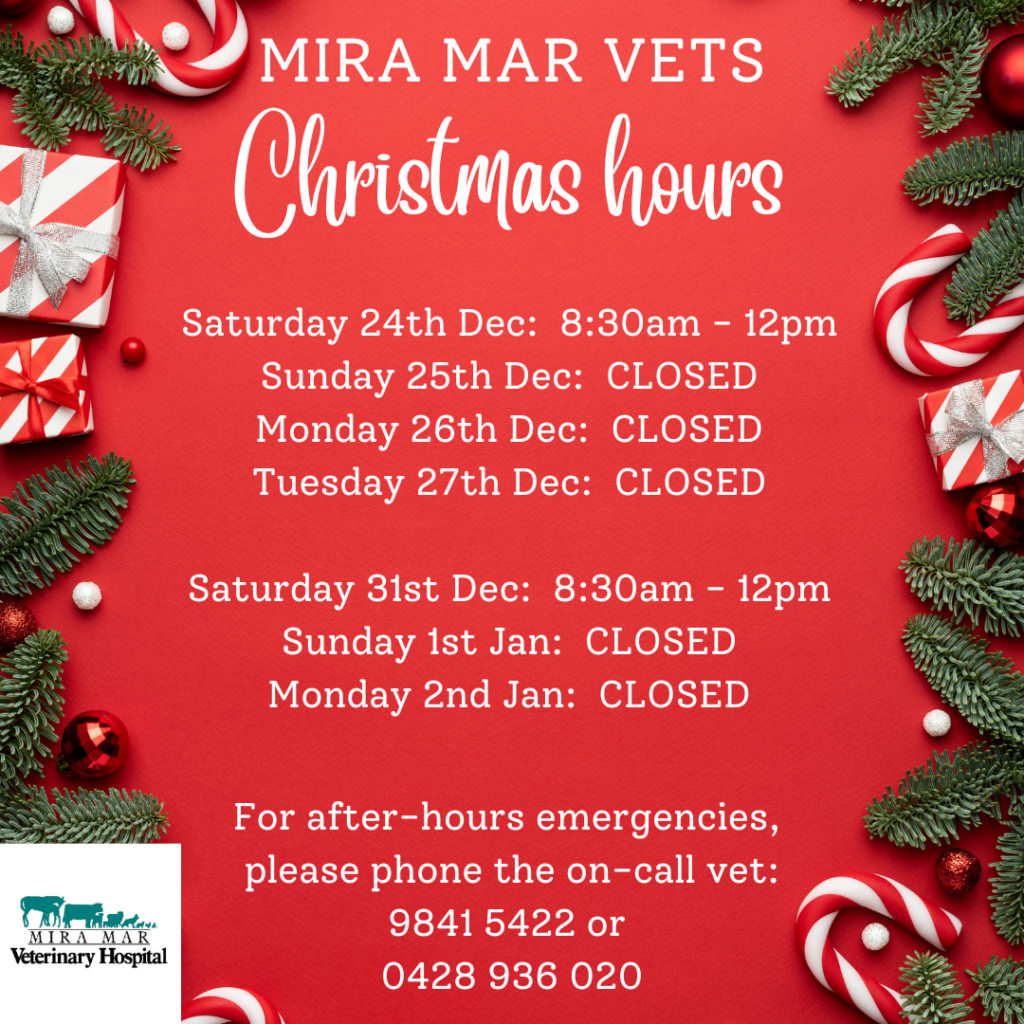 Christmas Opening Hours Mira Mar Veterinary Hospital