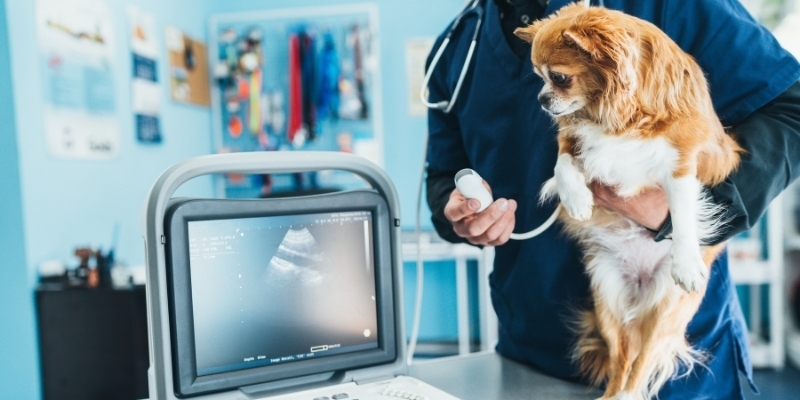 A one-stop shop for your pet’s veterinary care
