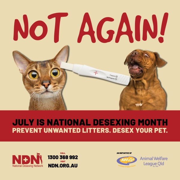 July is National Desexing Month!