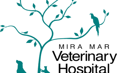A new logo for Mira Mar Vets!