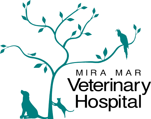 Mira Mar Veterinary Hospital