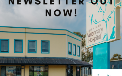 Latest newsletter out now!