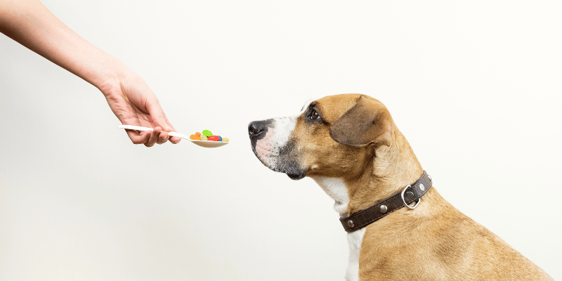 Pet foods – The good, the bad, and the marketing ploys