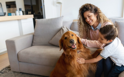 Renting with pets: How to craft a winning pet resume