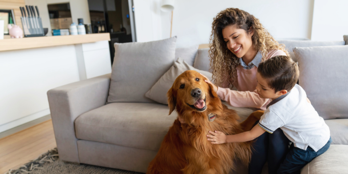 Renting with pets: How to craft a winning pet resume