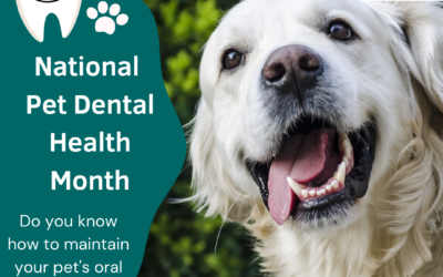 AUGUST IS DENTAL MONTH AT MIRA MAR VETS!