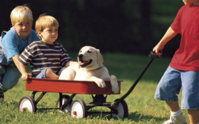 Keep calm and carry on (with pets and kids)