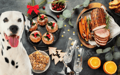 “On the third day of Christmas…”