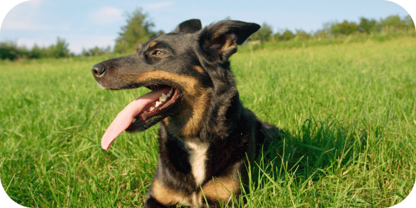 Emergency first aid for heatstroke