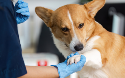 Hidden health problems