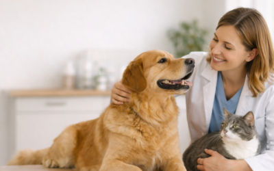 Pet vaccinations explained: what your pet really needs