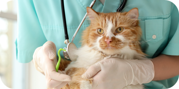 PCN-5—Common-parasite-prevention-pitfalls