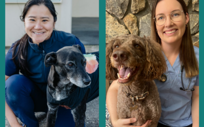 Staff changes at Mira Mar Vets