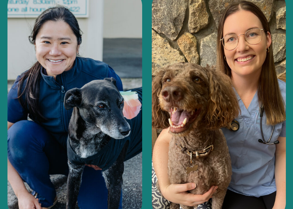Staff changes at Mira Mar Vets