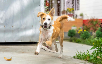 Weekend warrior syndrome